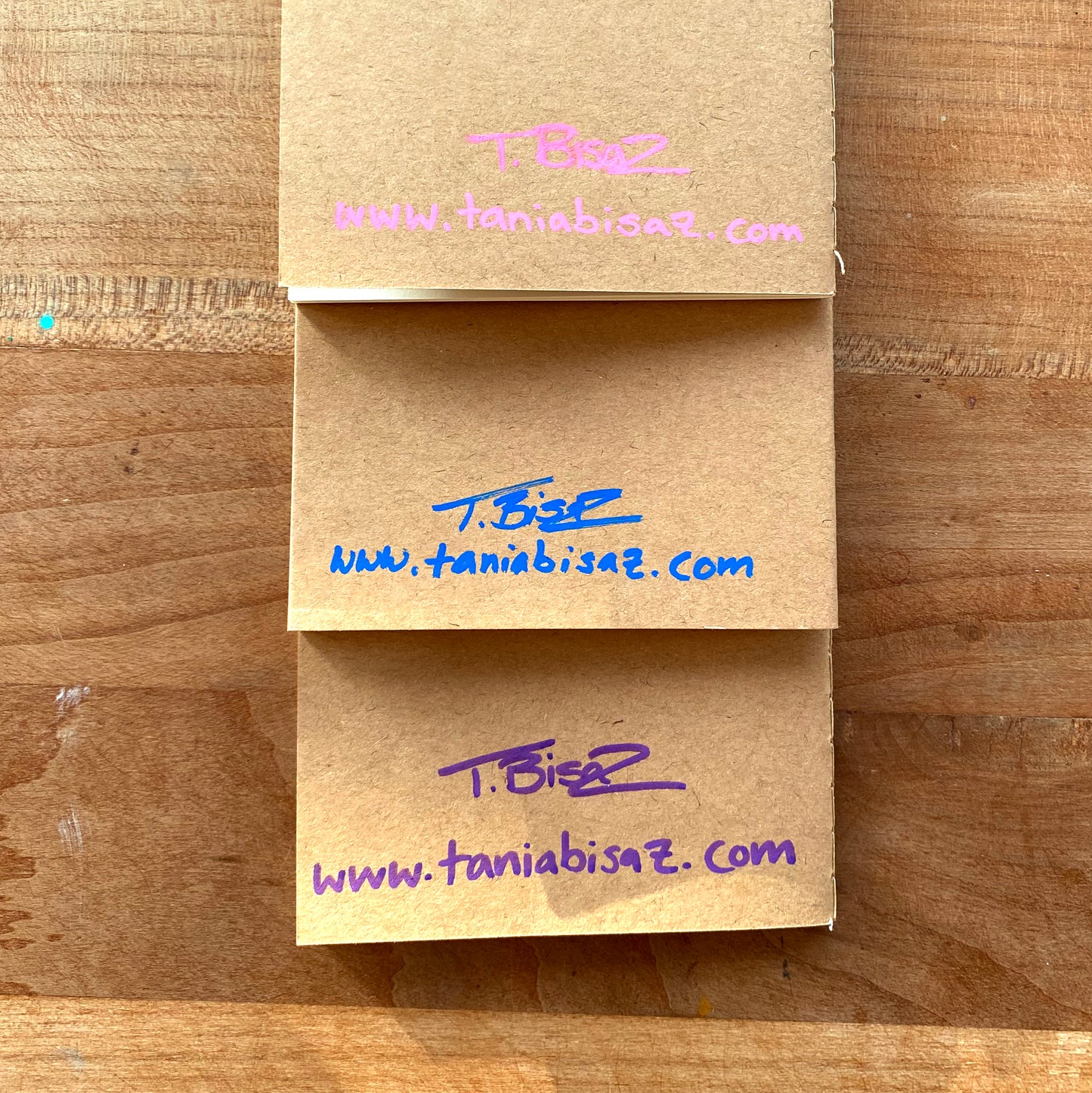 Mini Notebook Set with Original Art Covers (Set of 3) - Tania Bisaz