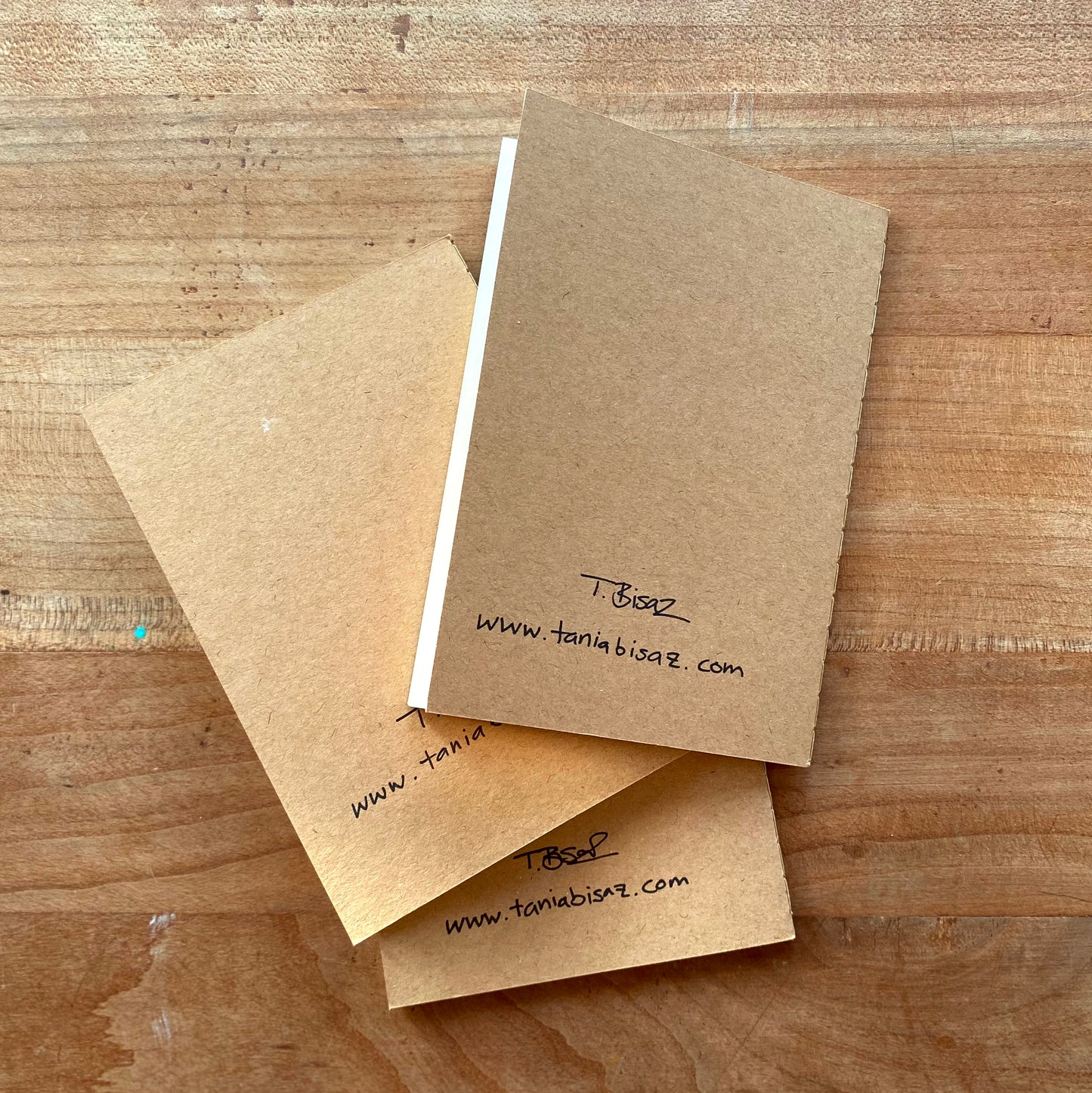 Mini Notebook Set with Original Art Covers (Set of 3) - Tania Bisaz