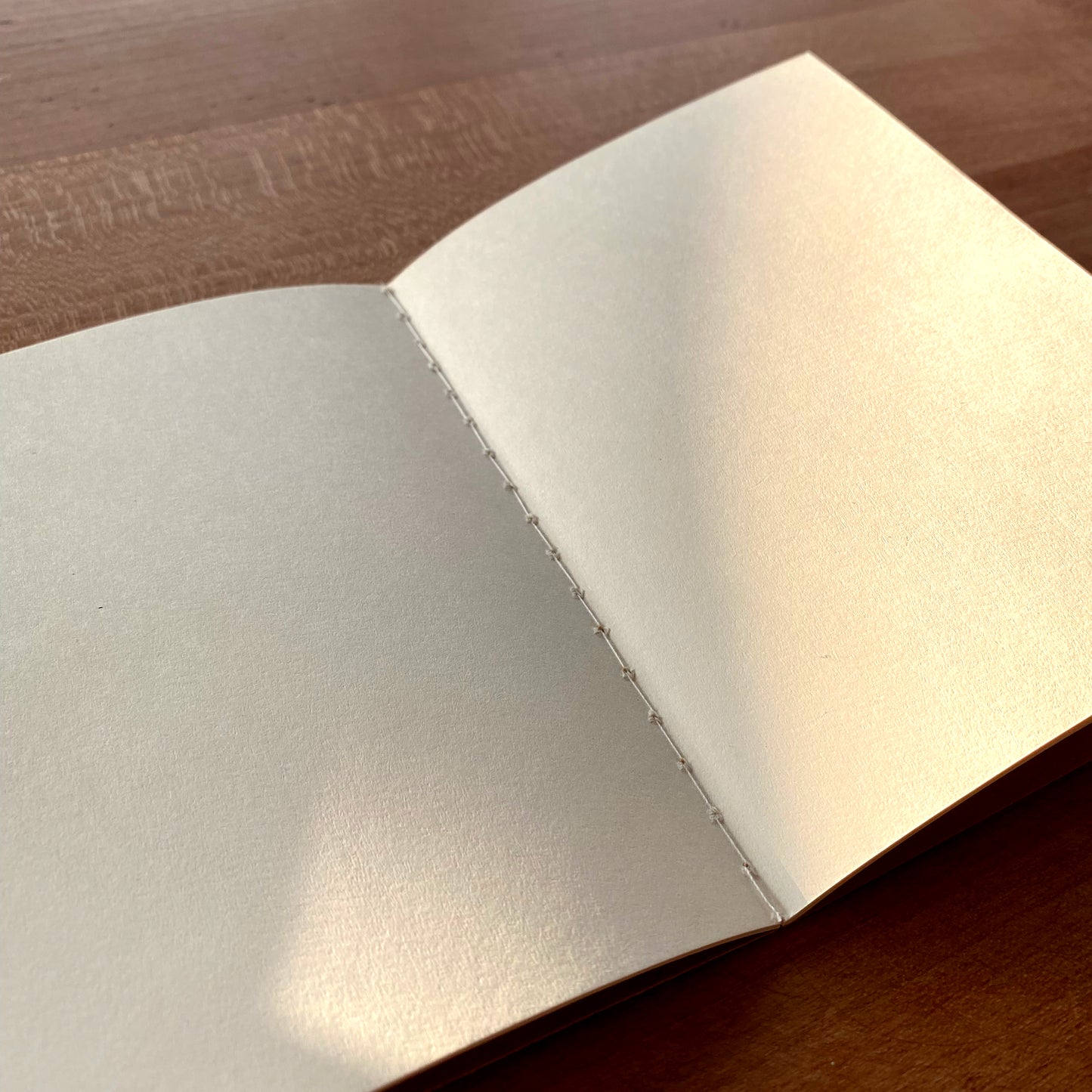 Mini Notebook Set with Original Art Covers (Set of 3) - Tania Bisaz