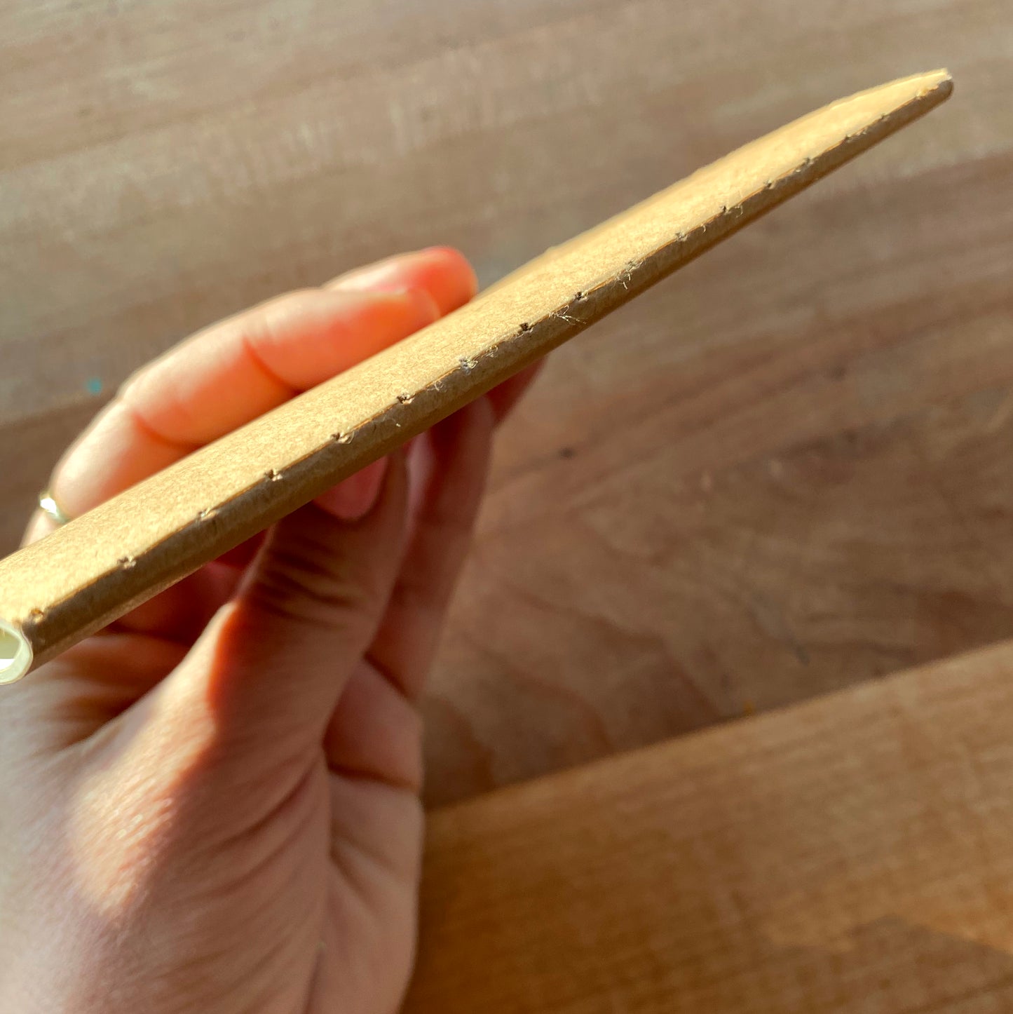 Mini Notebook Set with Original Art Covers (Set of 3) - Tania Bisaz