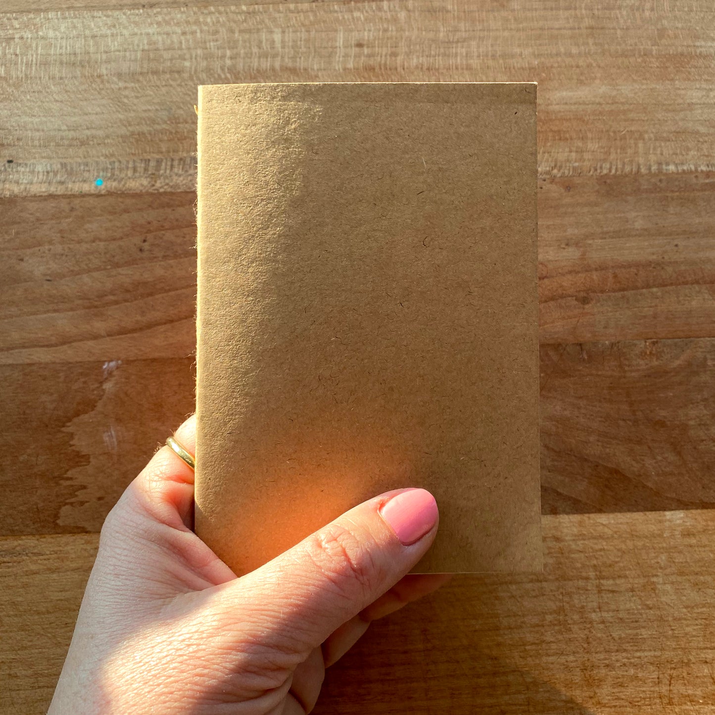 Mini Notebook Set with Original Art Covers (Set of 3) - Tania Bisaz